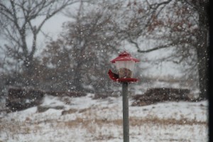 IMG_2170