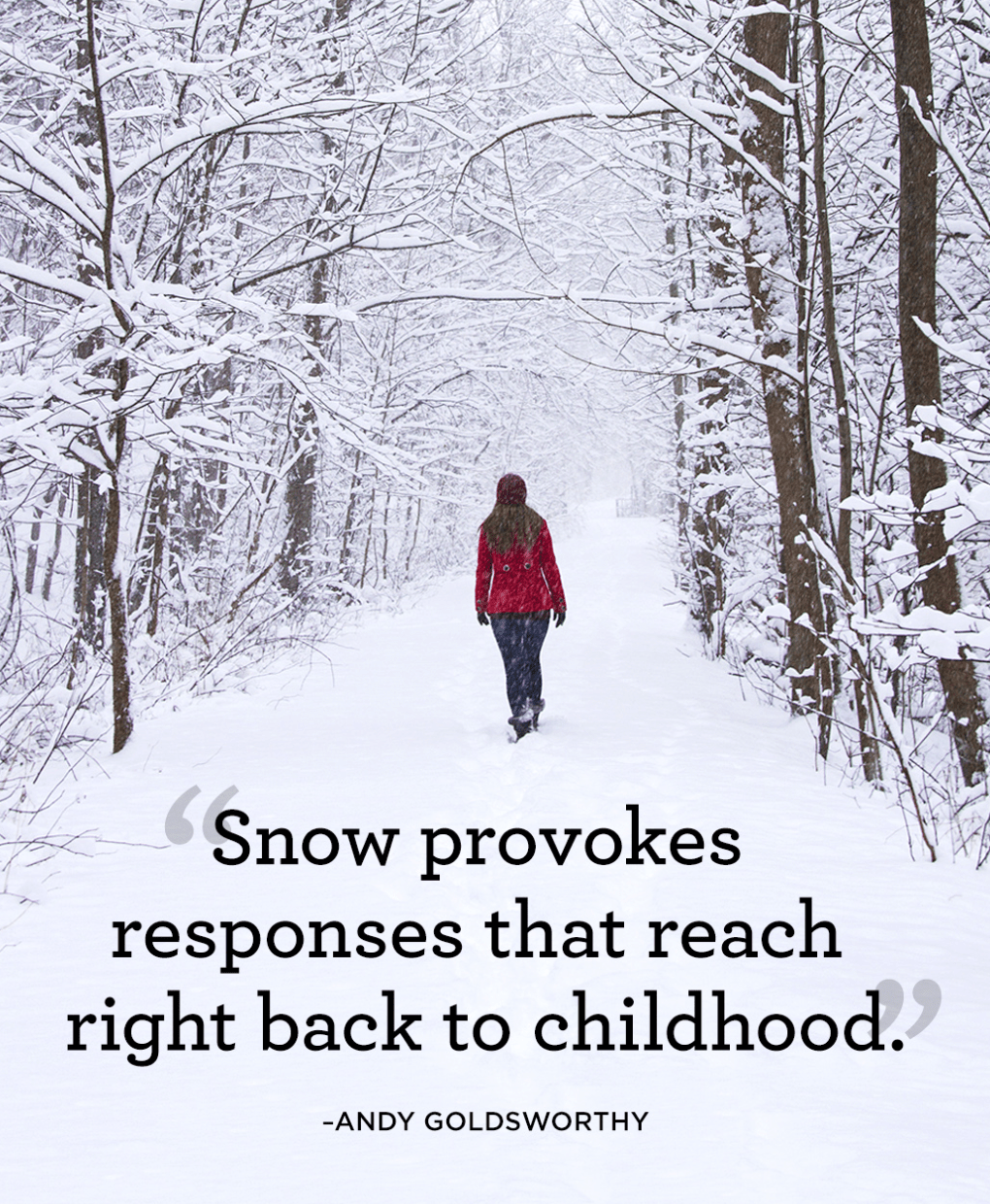 screen-shot-2017-01-05-at-1-58-15-pm