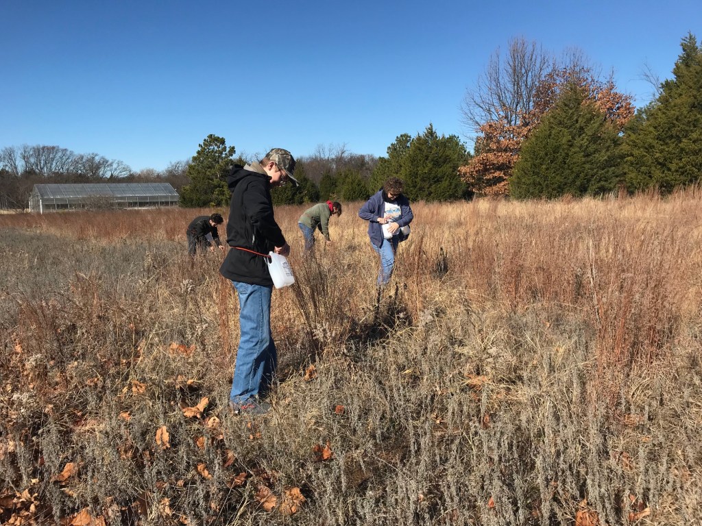Phase 2 – Pollinator&nbsp;Meadow