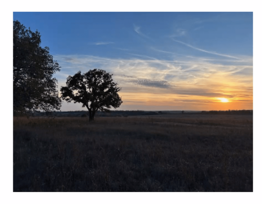 Sunrise over the tallgrass prairie and cross timbers