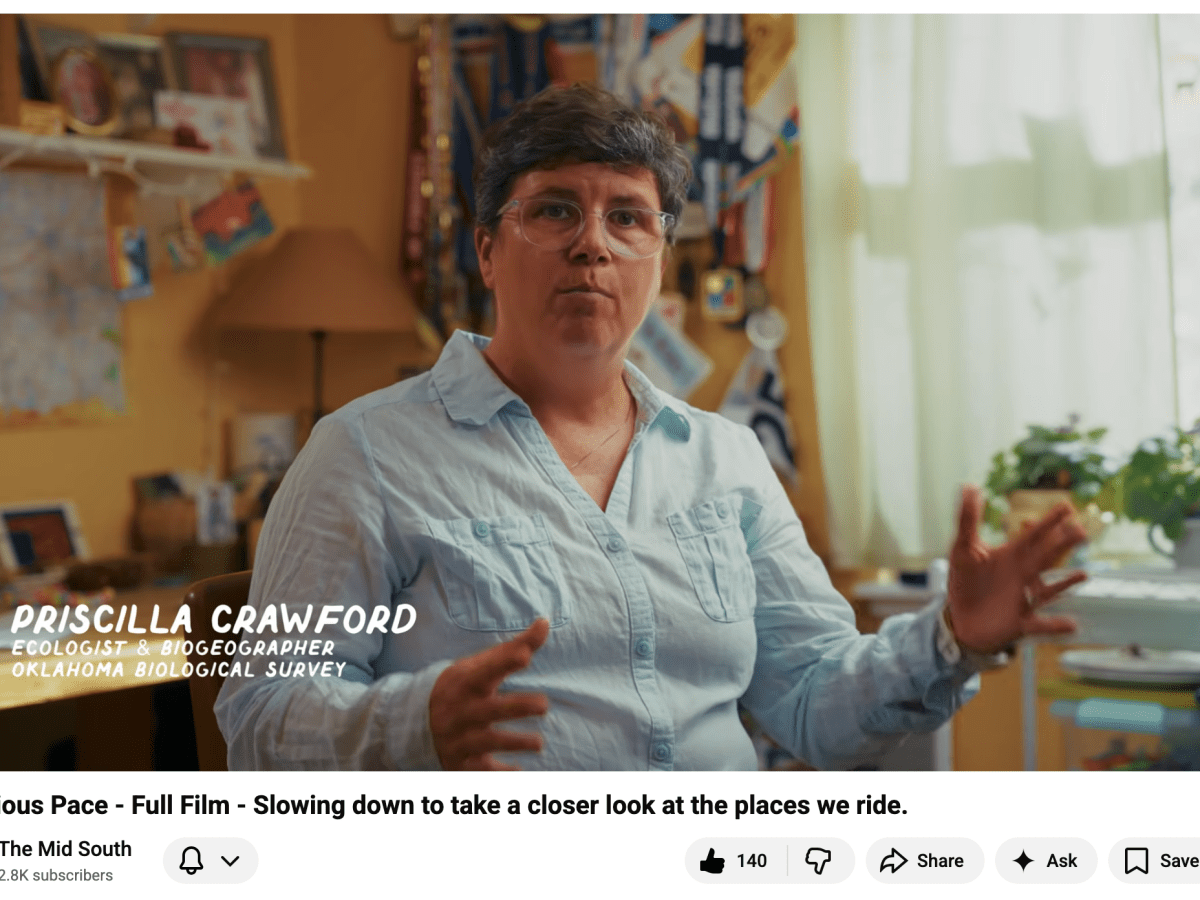 Bikes and BioDiversity!